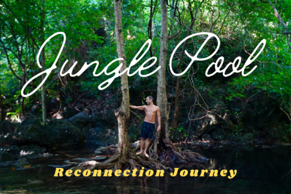 Reconnection Journey