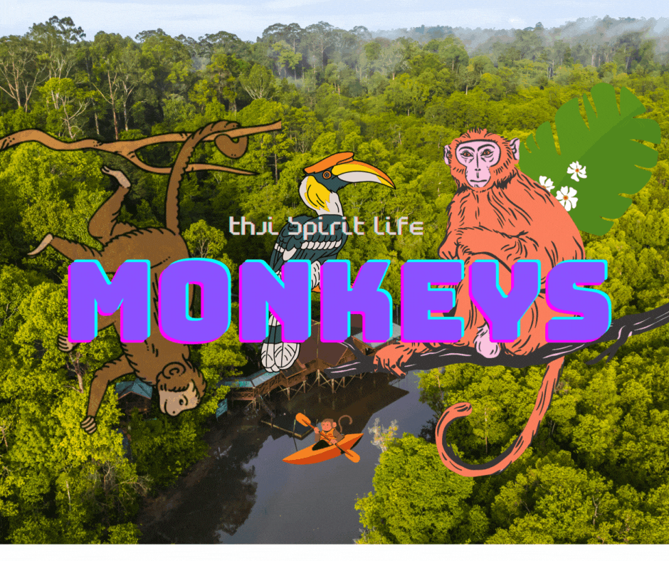 Read more about the article Krabi Monkeys: History, Species, and Best Locations to Visit