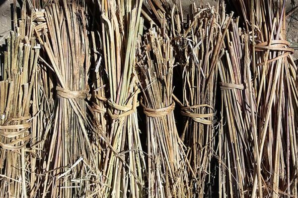 hemp-house