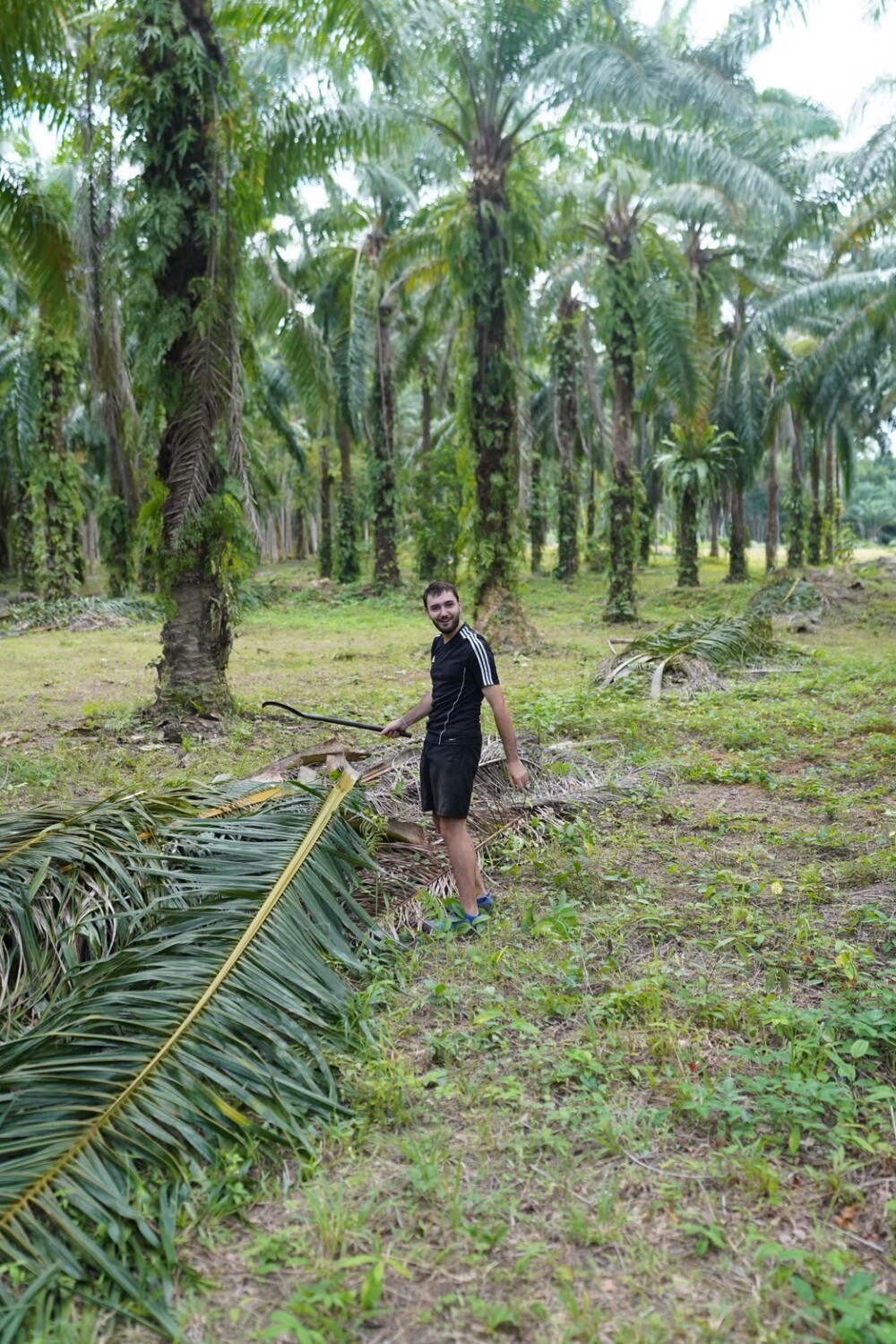 LINE_ALBUM_Eco-construction_250910_42