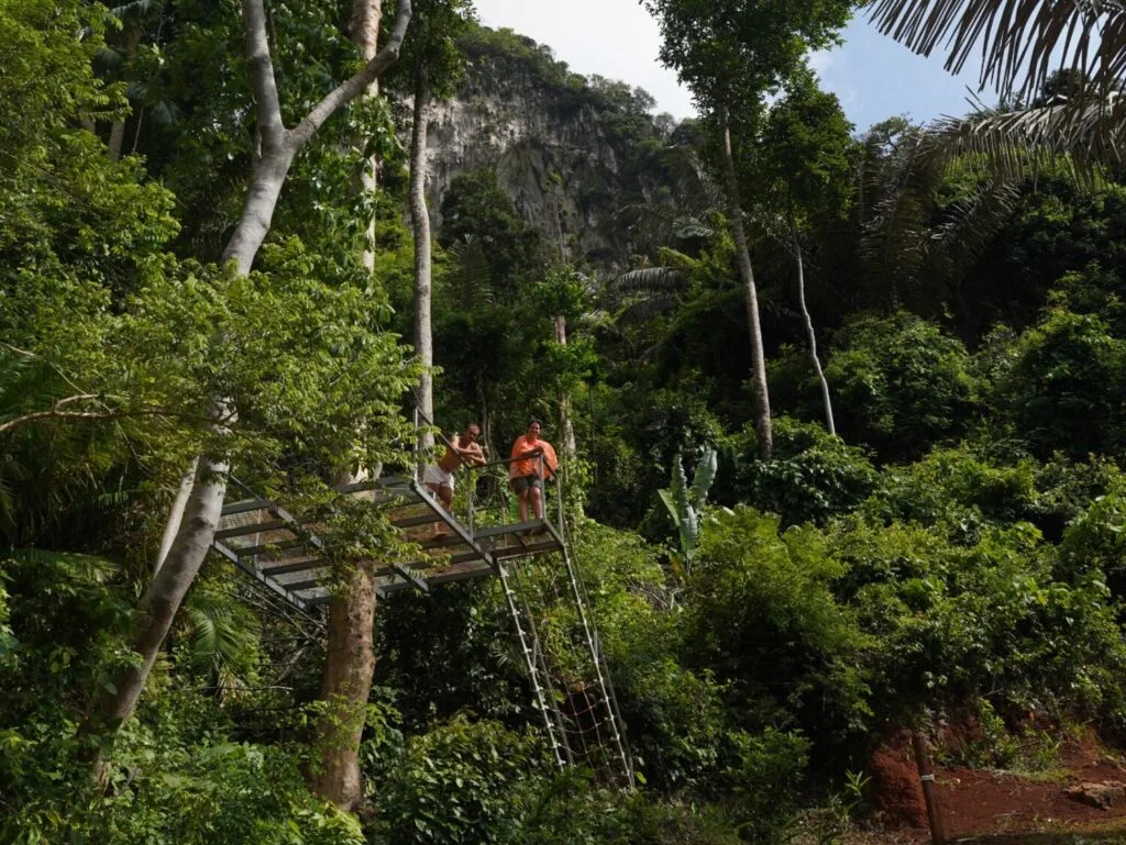 view point
